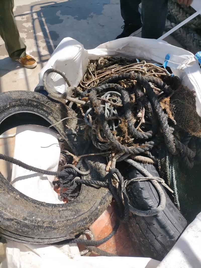 pulizia porto pescatori isola del giglio giglionews