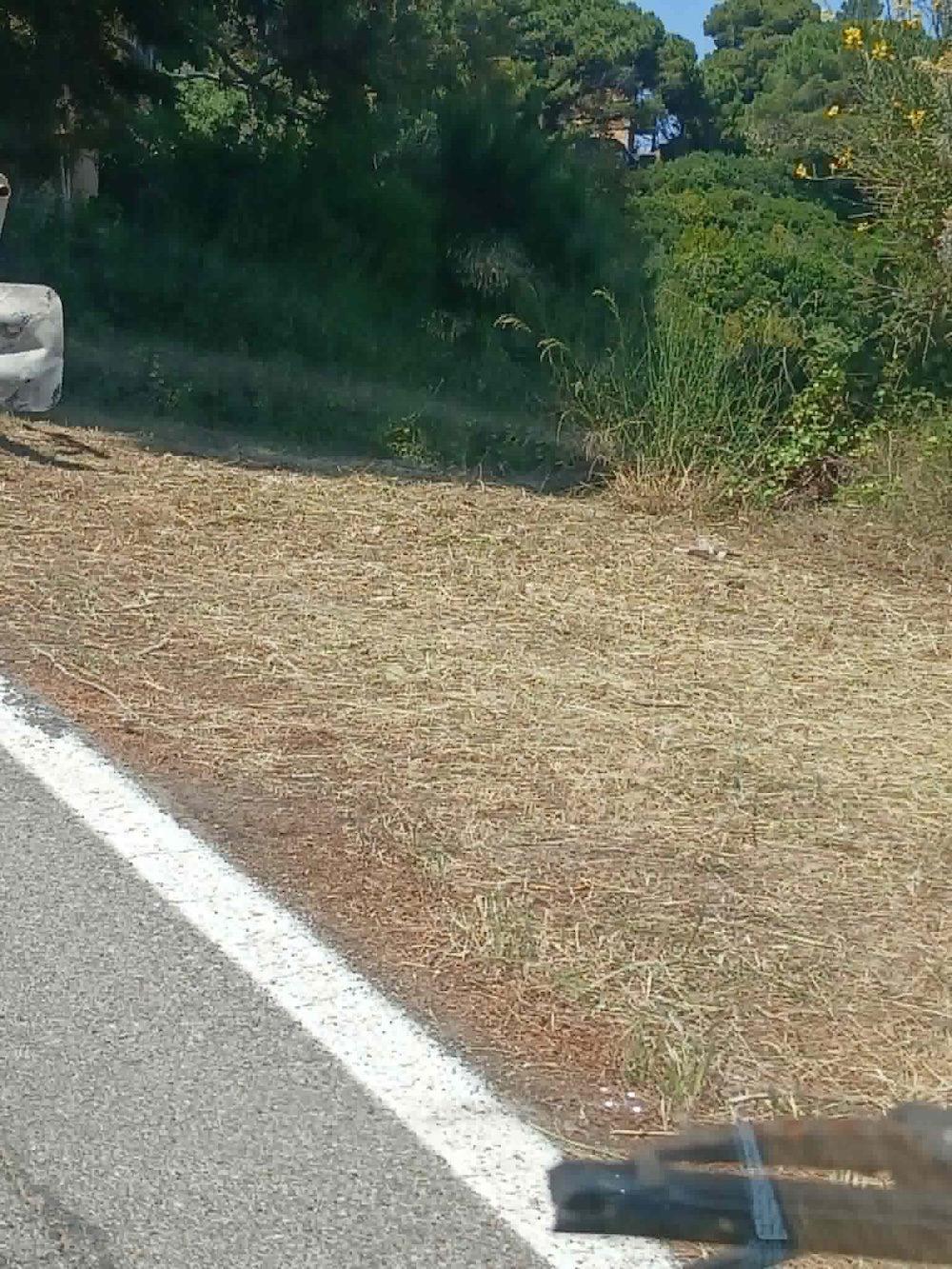 pulizia_strada_provincia_300526_6