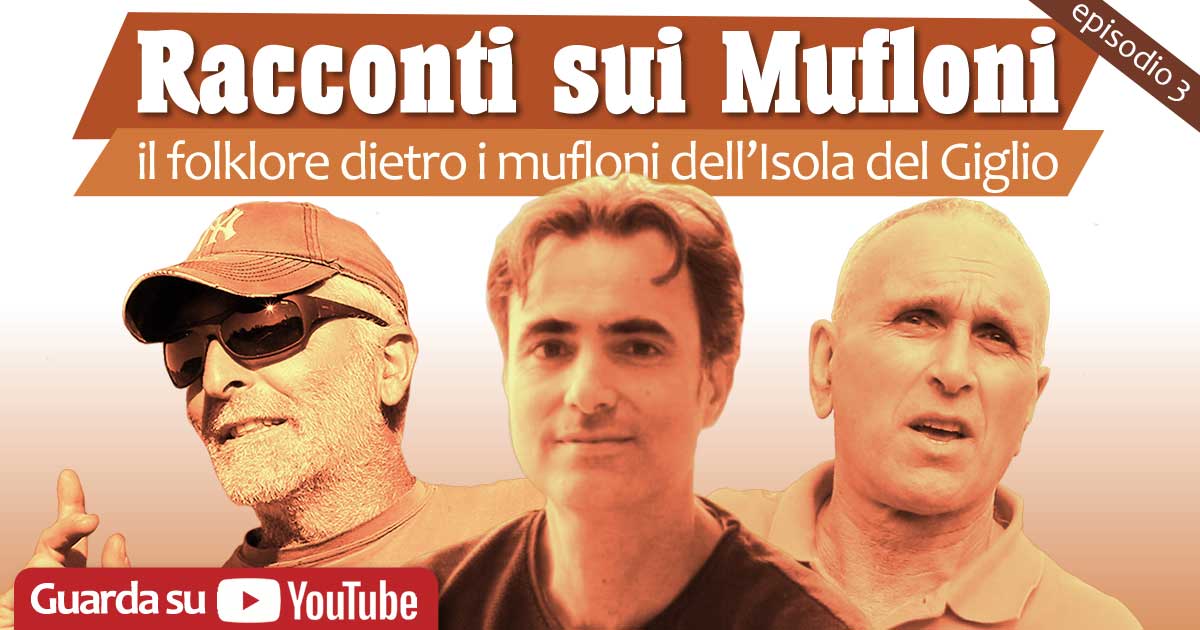 racconti mufloni episodio 3 isola del giglio giglionews