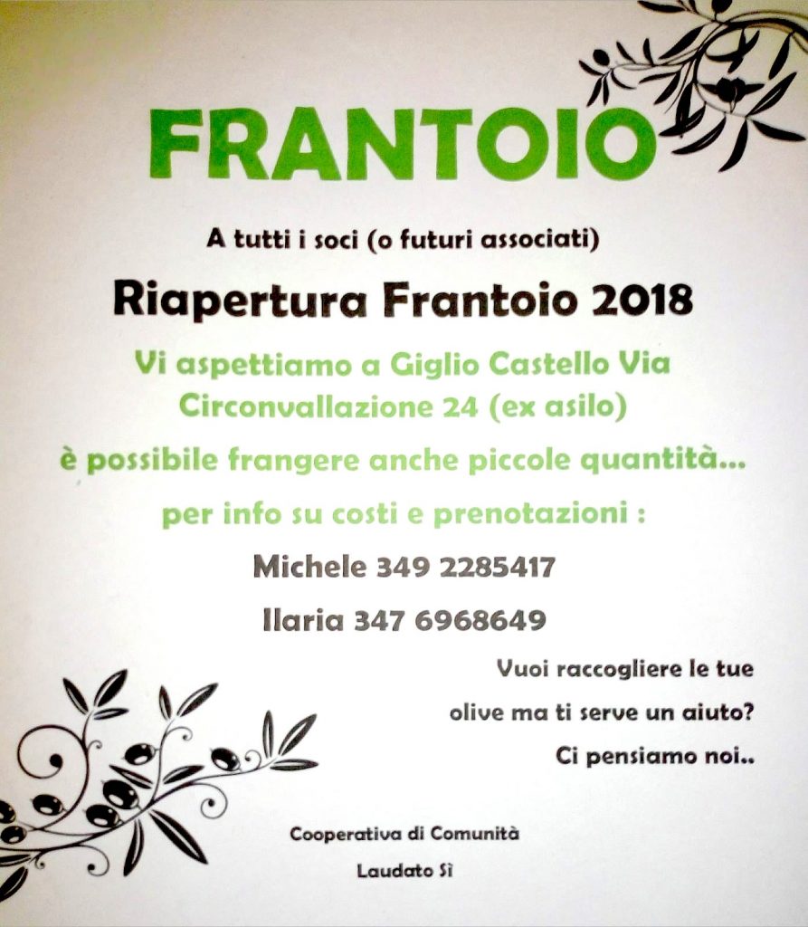 frantoio frangitura olive isola del giglio castello giglionews