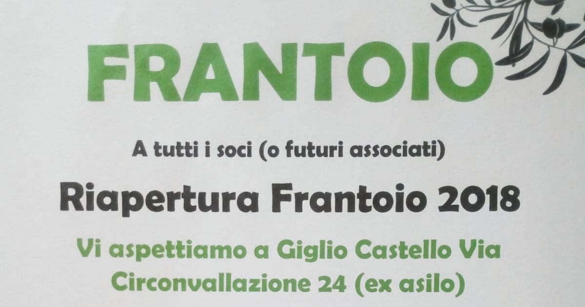 frantoio frangitura olive isola del giglio castello giglionews