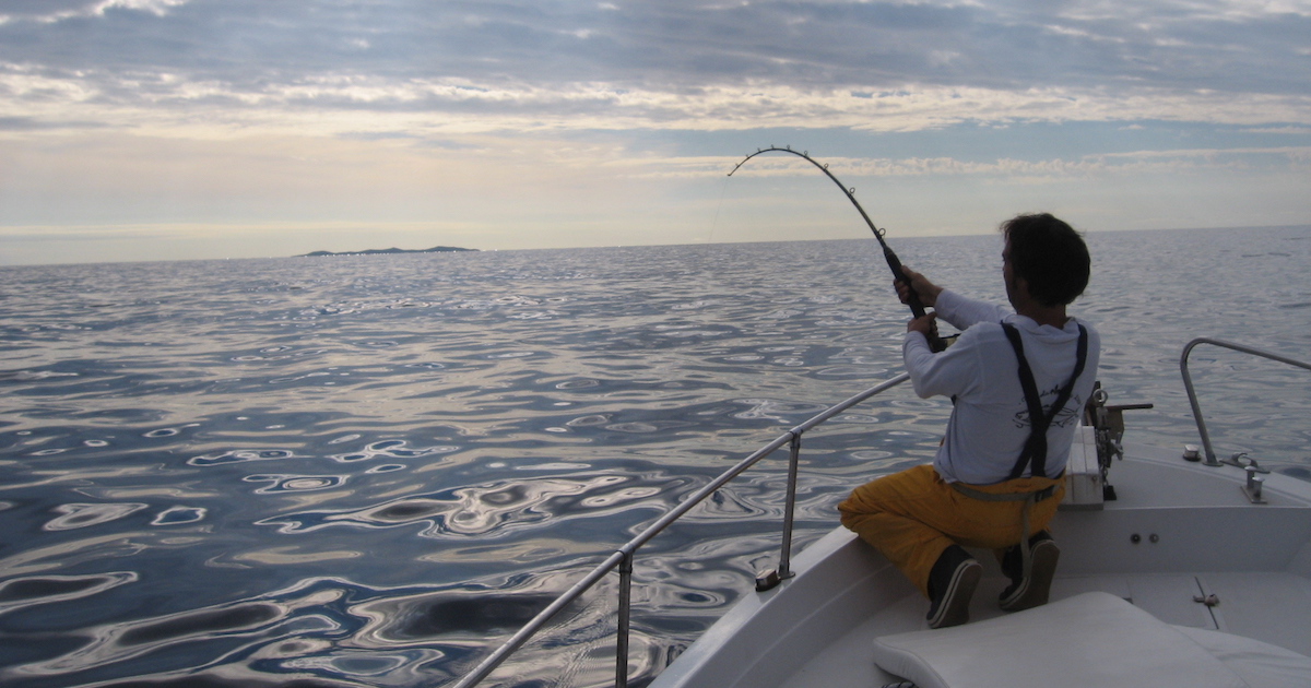 gara pesca ricciola cup isola del giglio giglionews