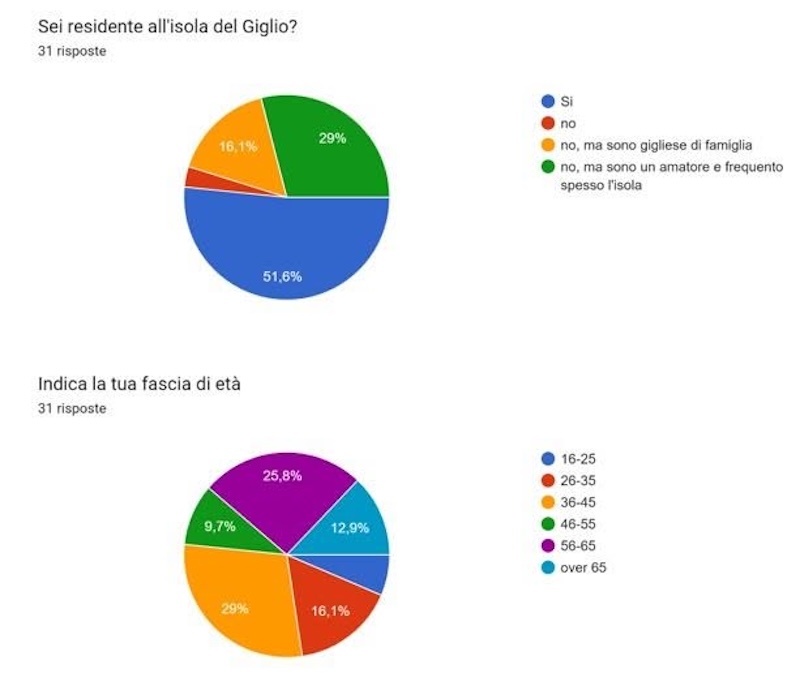 risultati_questionario060926