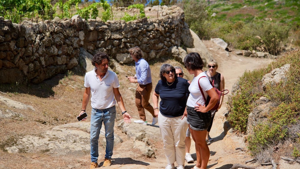 saccardi_giglio190625