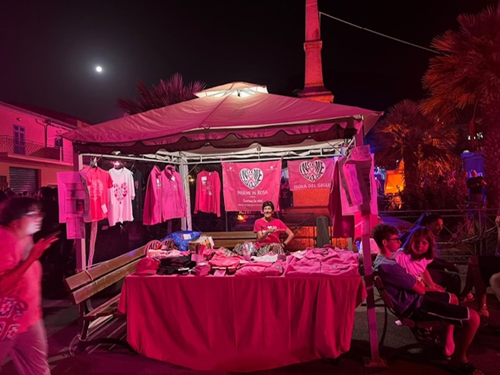 sagra_insieme_in_rosa280826_2