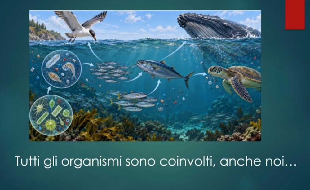 scoglio_pulito_scuole161026_9