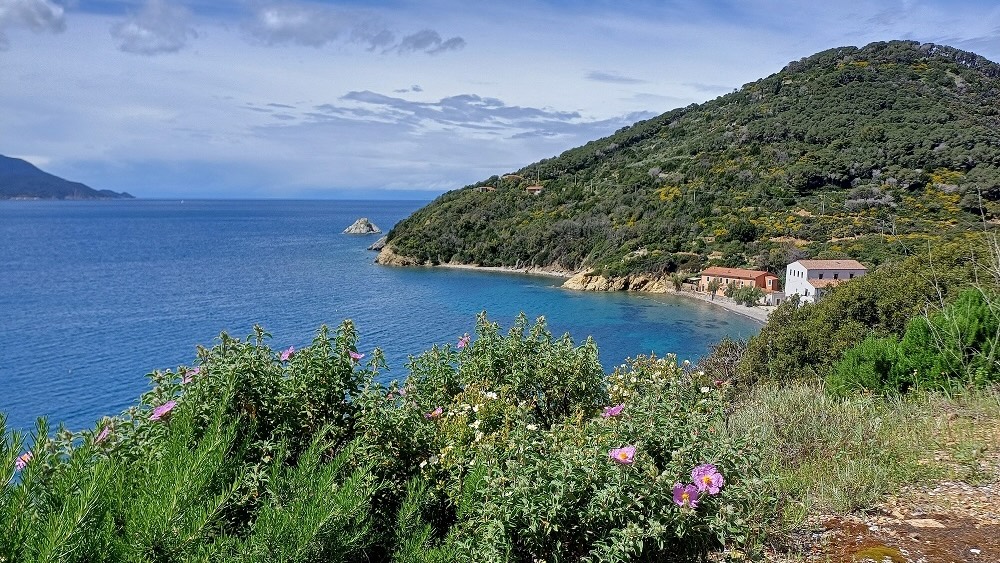 sede parco arcipelago toscano isola del giglio giglionews