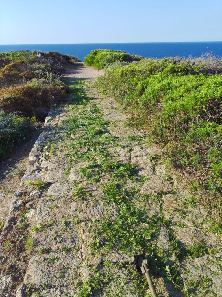 pulizia sentieri parco arcipelago toscano isola del giglio giannutri giglionews
