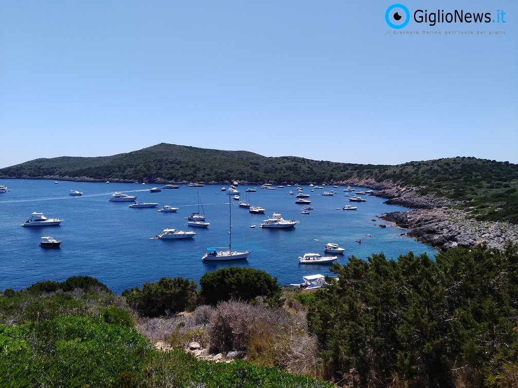 assalto mare giannutri legambiente isola del giglio giglionews