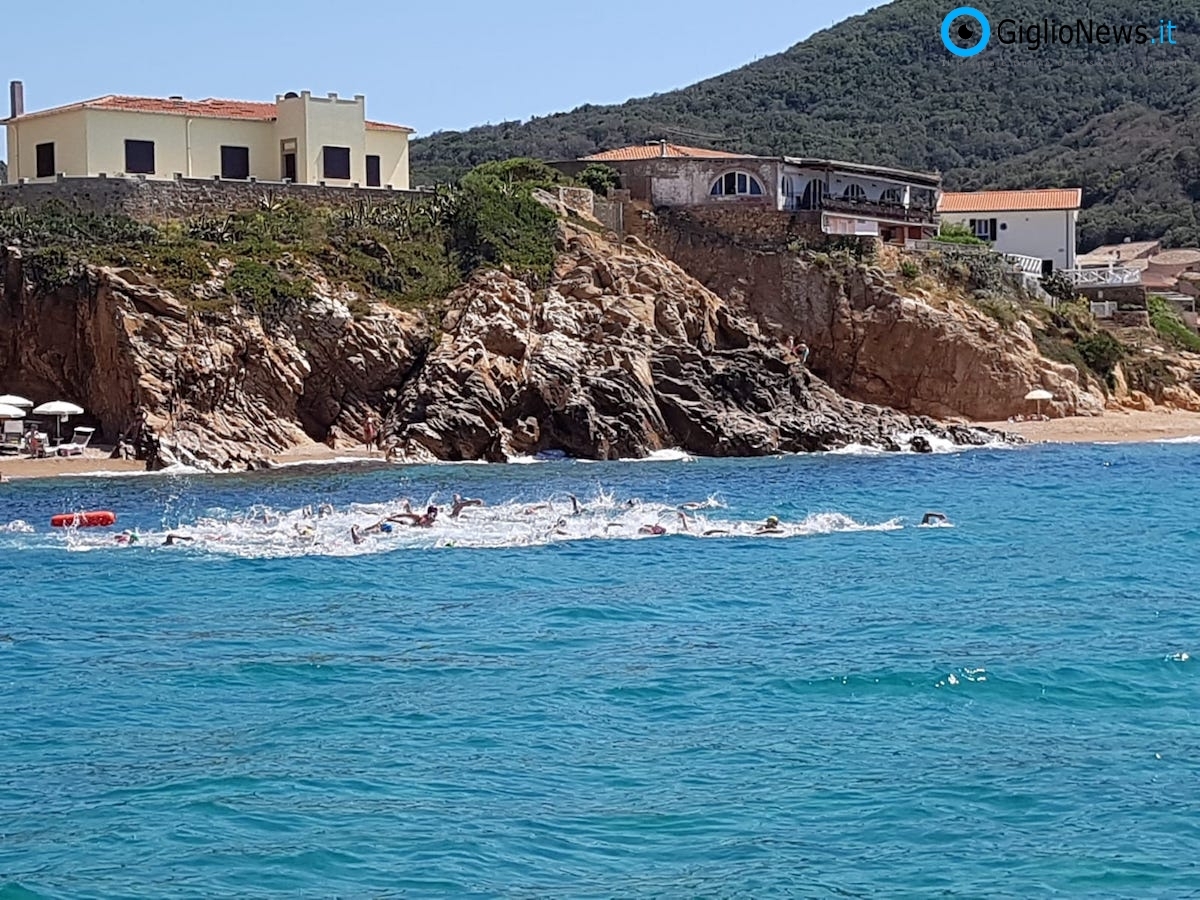 gare nuoto isola del giglio giglionews