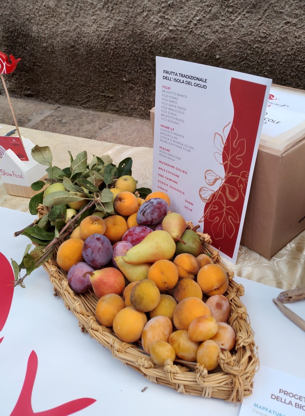 slow_food_castello040826_2