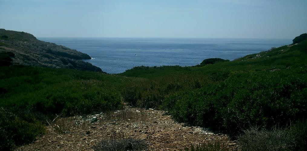 spazzatura giannutri operazione coste pulite isola del giglio giglionews legambiente