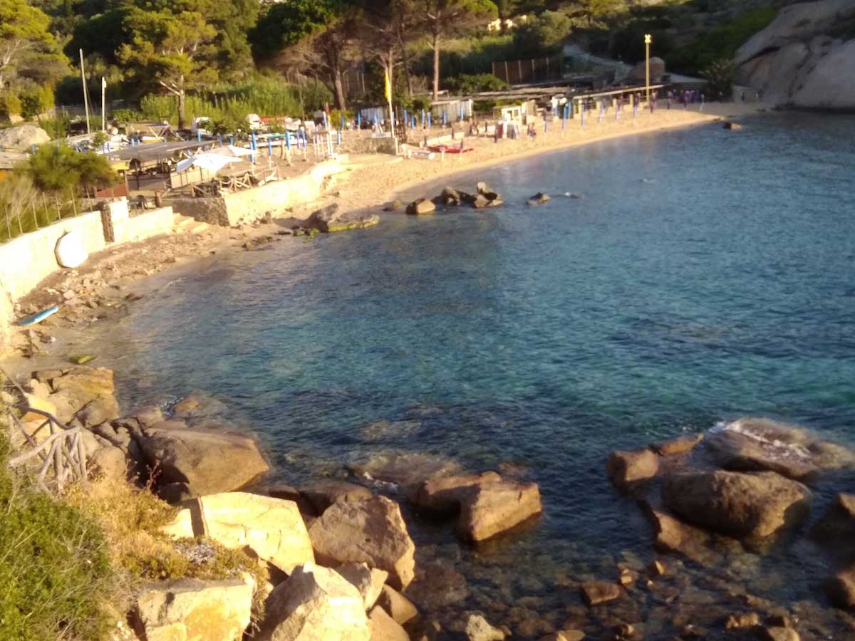 spiaggia arenella isola del giglio giglionews