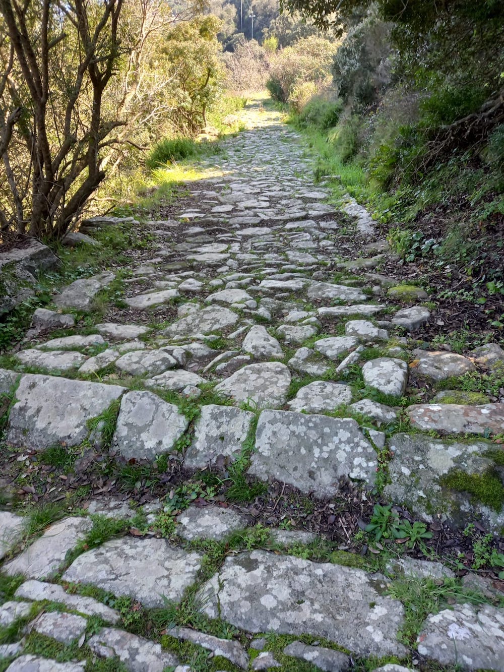 strada_vecchia220323_1