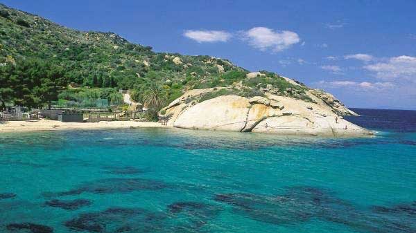 tartaruga arenella poesia isola del giglio giglionews