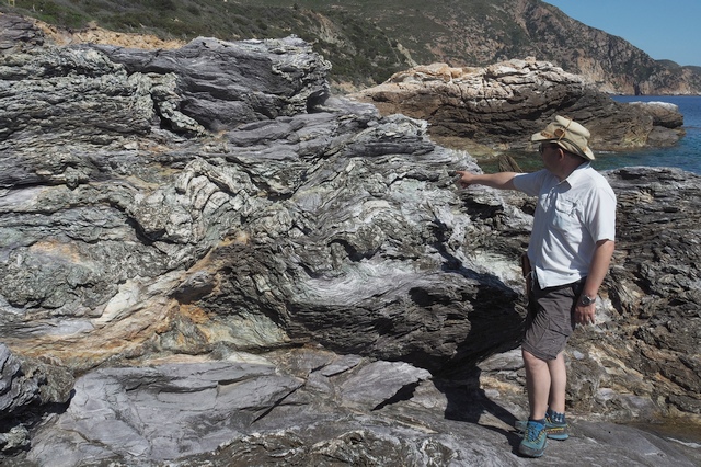 tracce fossili tremori isola del giglio giglionews