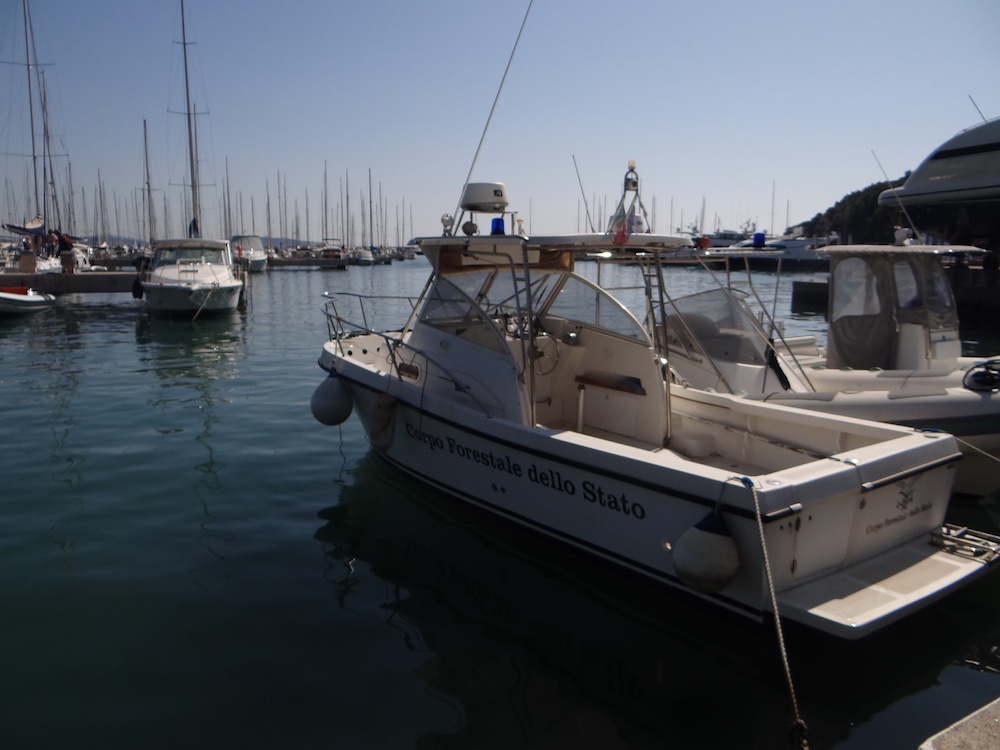 mezzi nautici asta parco isola del giglio giglionews