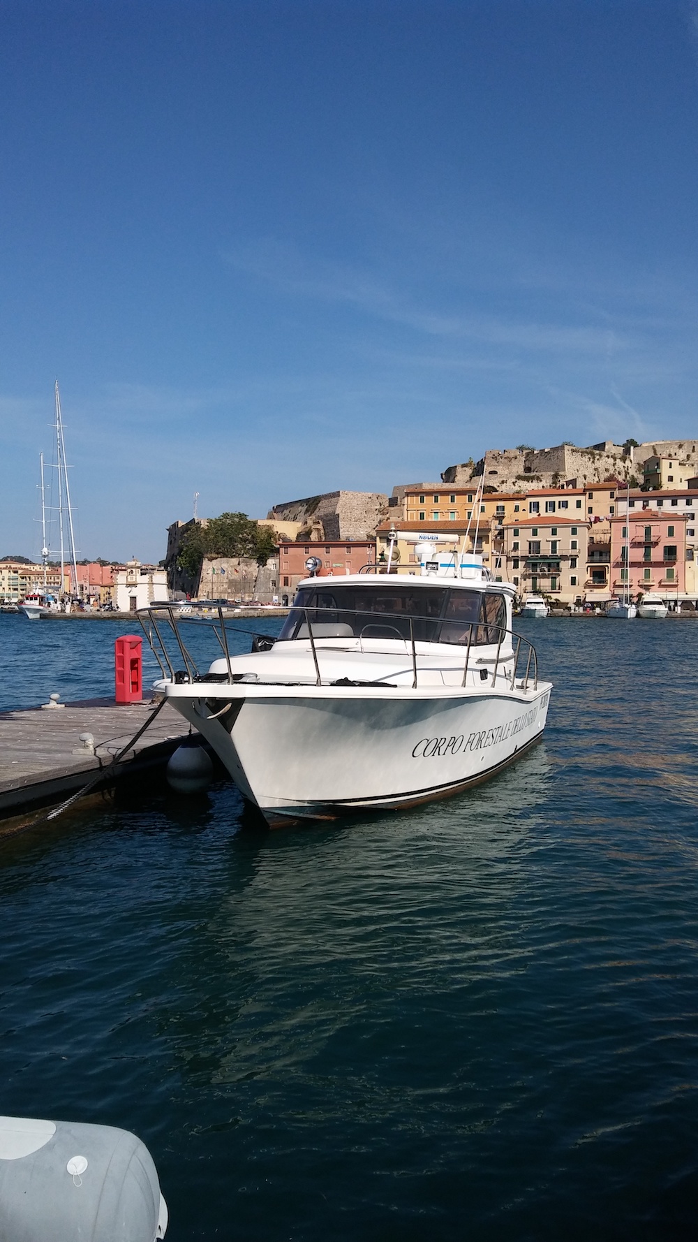 mezzi nautici asta parco isola del giglio giglionews