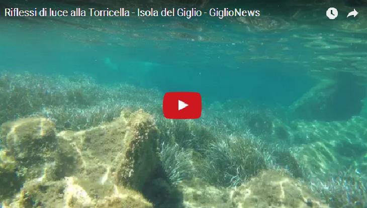 video torricella isola del giglio giglionews