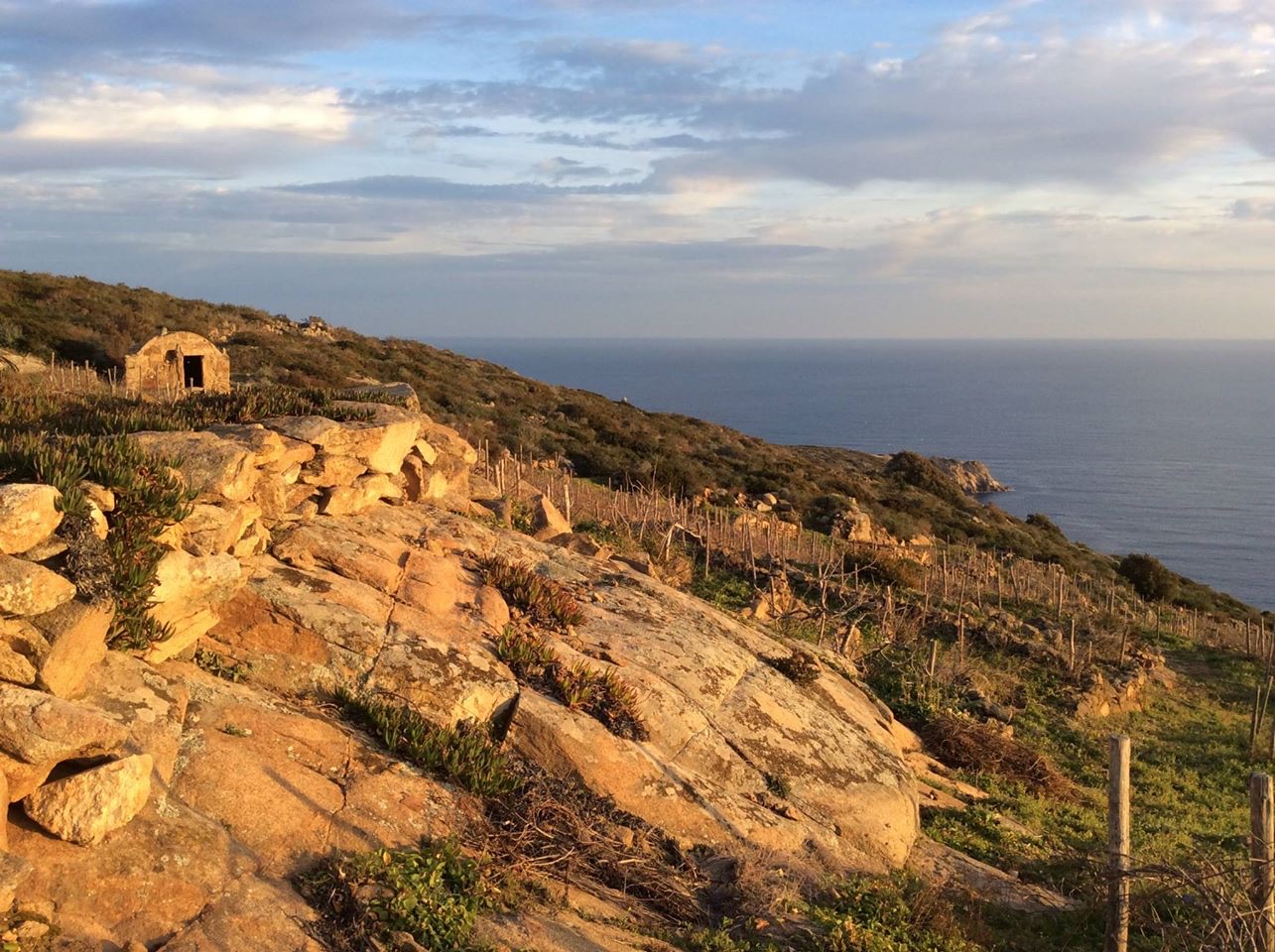 walking festival vigna isola del giglio giglionews