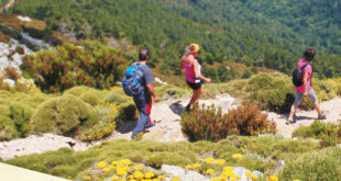 giannutri walking festival del camminare parco arcipelago toscano isola del giglio giglionews