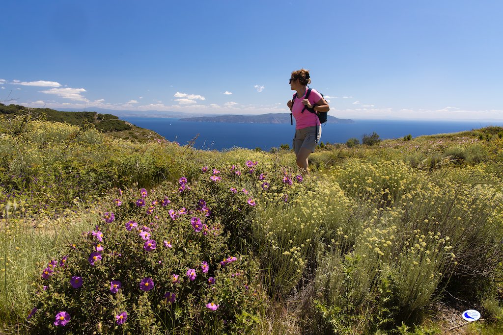 ridi walking festival del camminare parco arcipelago toscano isola del giglio giglionews